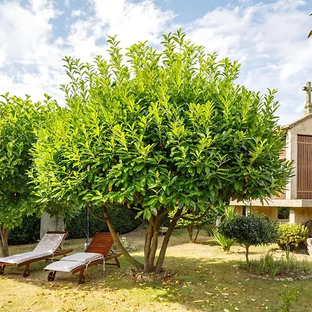 Adega Διαμέρισμα Ordes