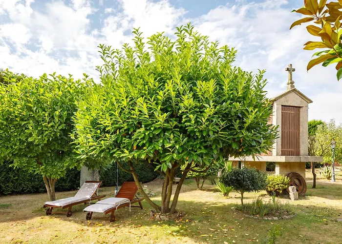 Adega Apartament Ordes